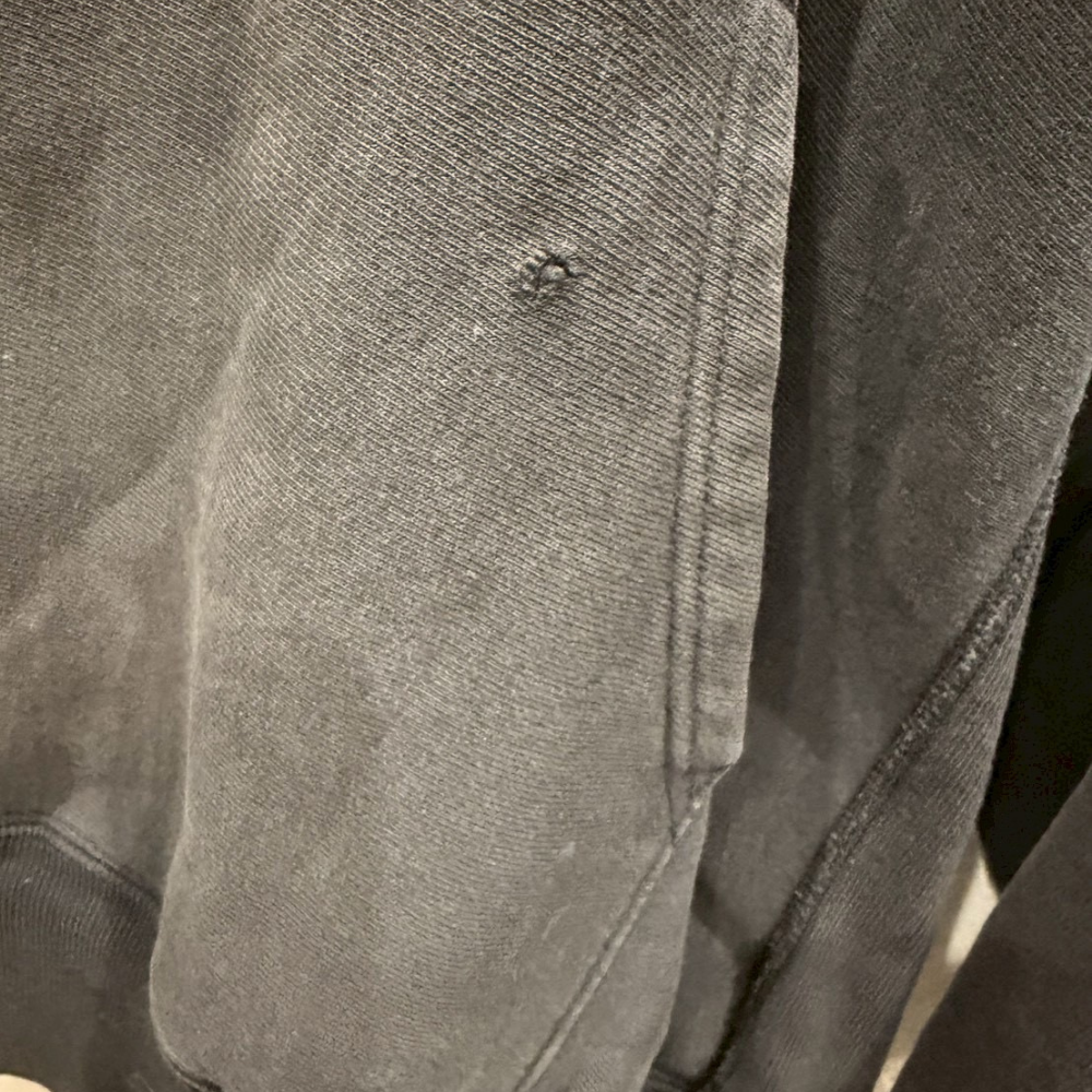 Champion リバースウィーブ フーディ Vガゼット 目あり 刺繍ロゴ グレー Vintage - 画像 (3)