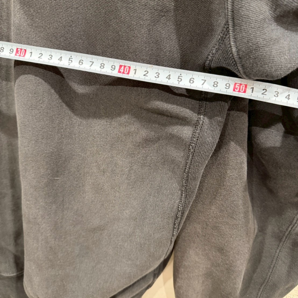 Champion リバースウィーブ フーディ Vガゼット 目あり 刺繍ロゴ グレー Vintage - 画像 (8)